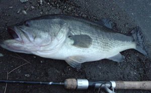 48.5ｃｍ