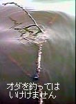 981222_oda.jpg