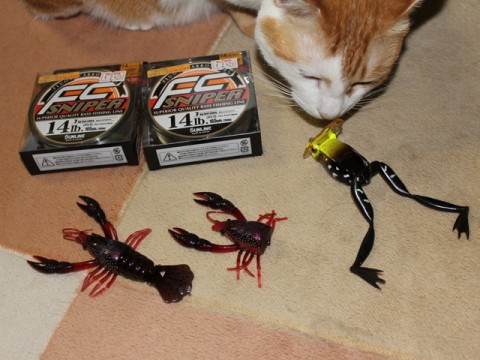 20110504100503__3.jpg