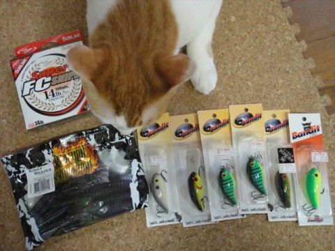 20120320110350__2.jpg