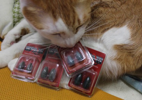 20120401100436__10.jpg