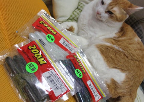 20120401100436__8.jpg