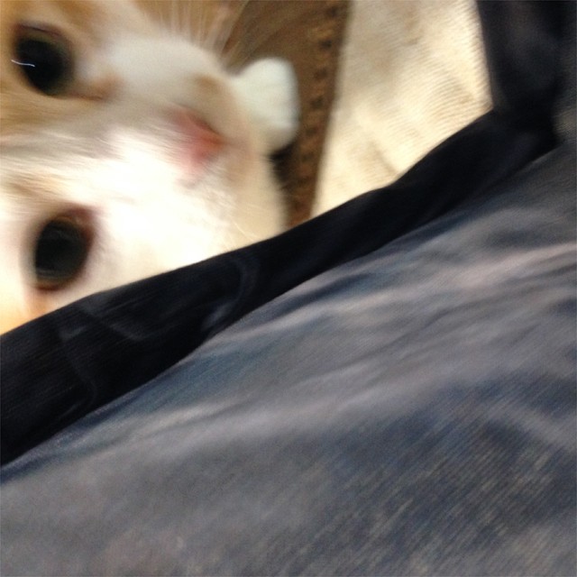 20140706030758__2.jpg