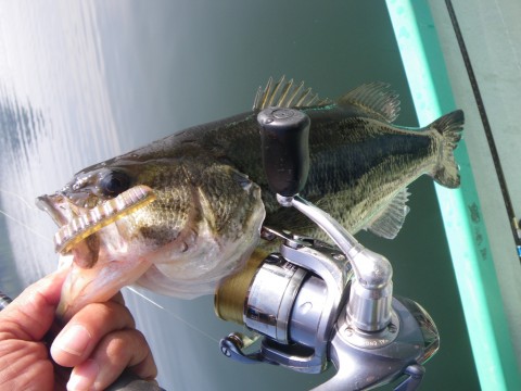 20110218120235_1.jpg 20110218120235_1.jpg