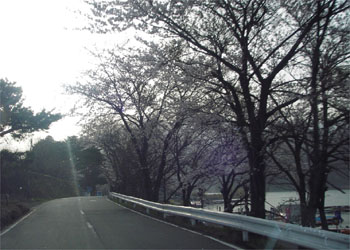 勝山
