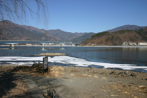 IMG_9236.jpg