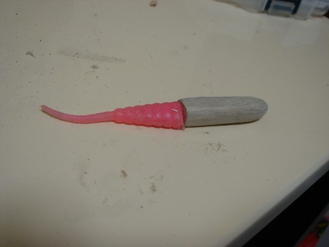 DSC01551