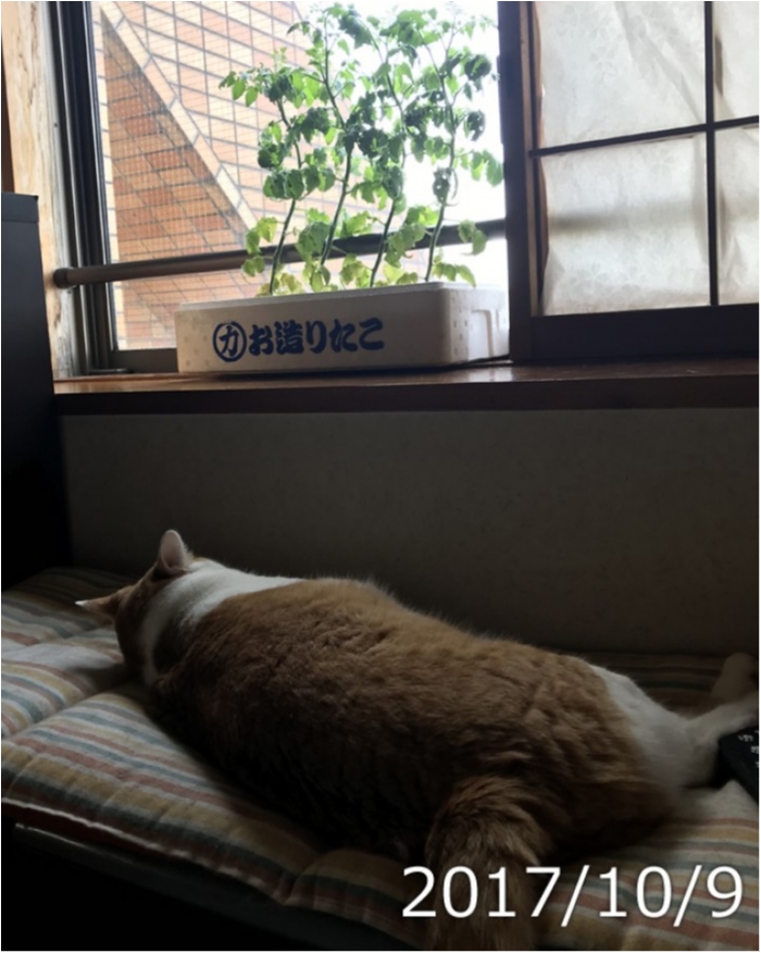 17y5f4Yz1ceiyuvc.jpg