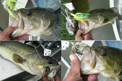 20081208111217_2.jpg 20081208111217_2.jpg