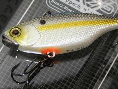 20090303110319_1.jpg 20090303110319_1.jpg