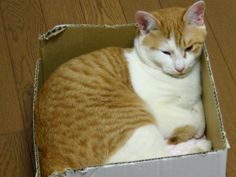 20090303110319_3.jpg 20090303110319_3.jpg