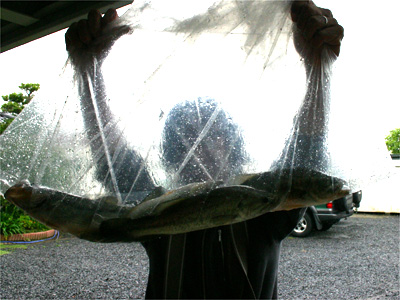 20090601120630_1.jpg 20090601120630_1.jpg