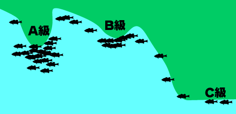 20090816010840_1.jpg 20090816010840_1.jpg