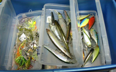 20091005111023_2.jpg 20091005111023_2.jpg