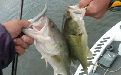 20091022071000_4.jpg 20091022071000_4.jpg