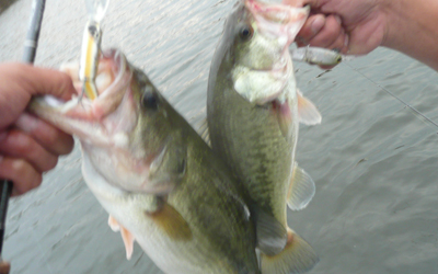 20091022071000_5.jpg 20091022071000_5.jpg