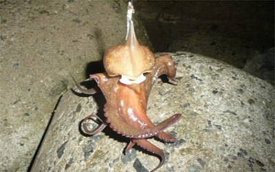 20091023091022_5.jpg 20091023091022_5.jpg