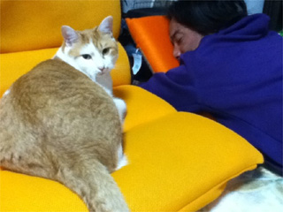 20110117100149_1.jpg 20110117100149_1.jpg