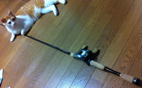 20110503010526__1.jpg