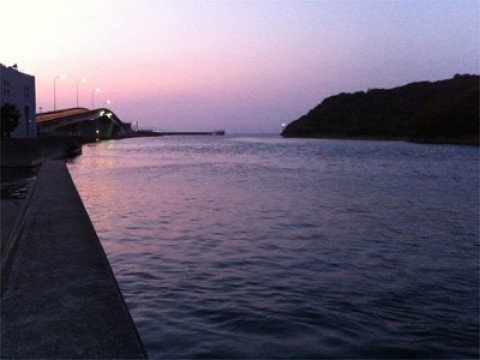 20110726100746__9.jpg