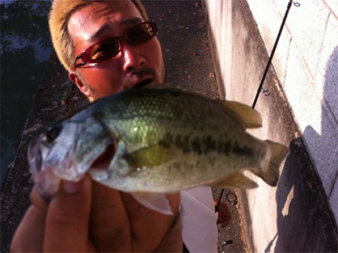 20110726110732__2.jpg