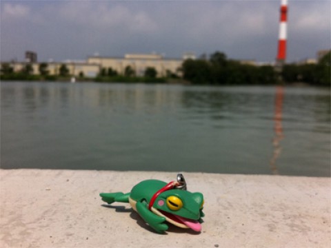 20110726110741__5.jpg