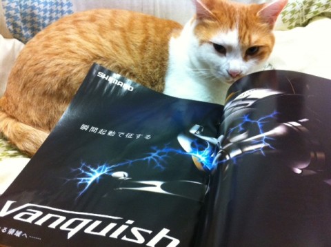 20111225111245__1.jpg