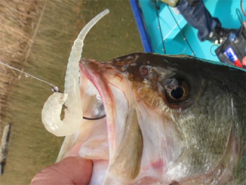 20120317120319__1.jpg