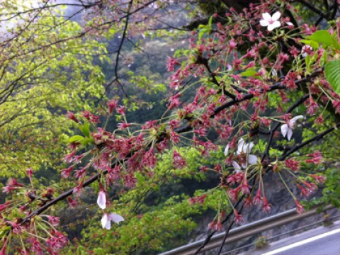 20120423040455__6.jpg
