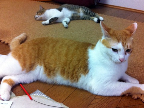 20120507120549__1.jpg
