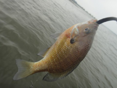 20120515080542__2.jpg