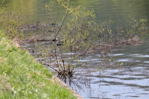 20120521080540__3.jpg