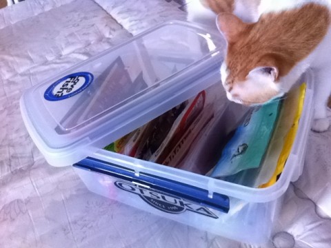 20120616090611__1.jpg