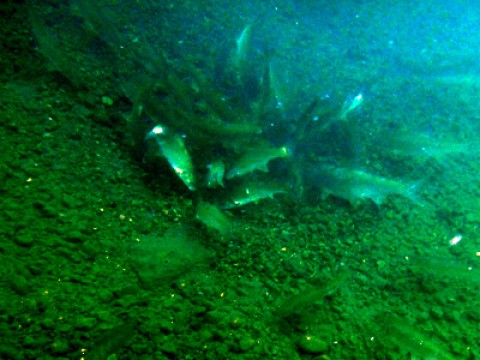 20120630120618__1.jpg