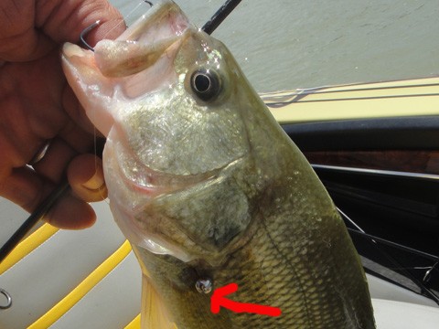 20120928010909__1.jpg
