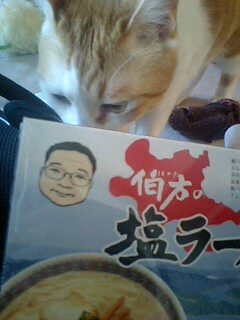 picture from keitai