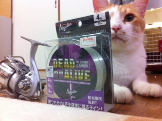 picture from keitai