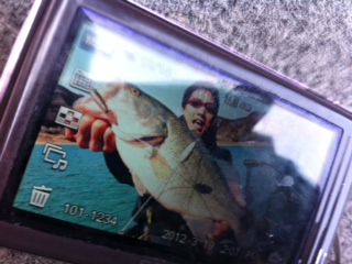 picture from keitai