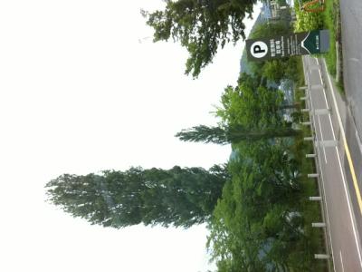 picture from keitai