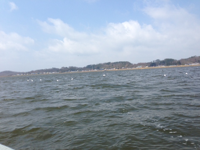 picture from keitai