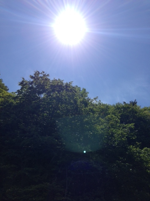 picture from keitai