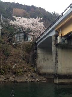 picture from keitai