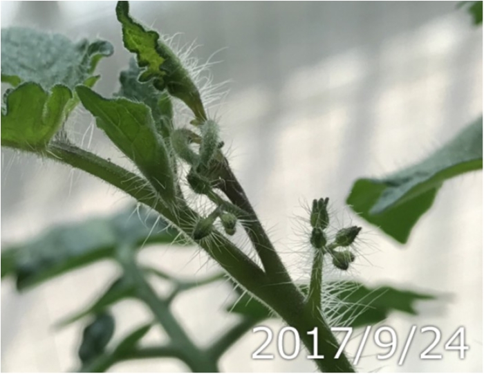 5WzB7_mp9FA1nmmC.jpg