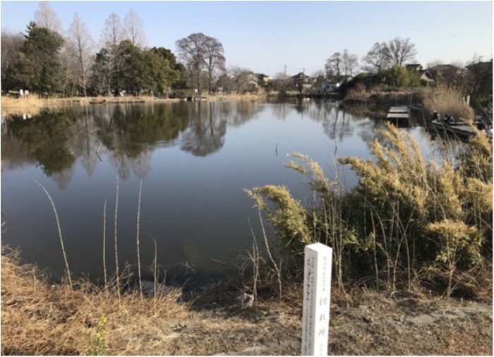 多々良沼と近藤沼に行ってきた Unitoro