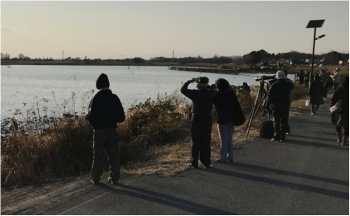 多々良沼と近藤沼に行ってきた Unitoro