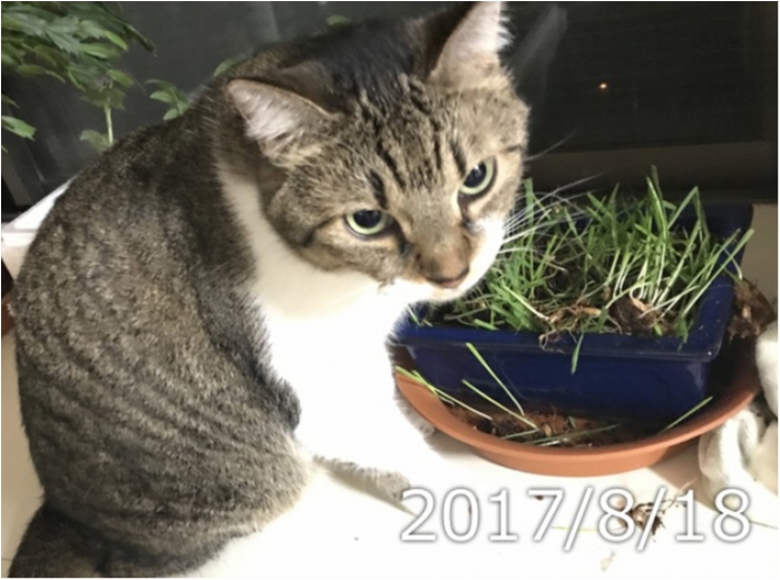 mhxvPcBd2q4SOi07.jpg