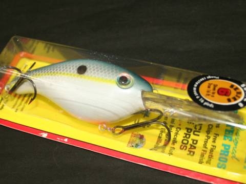 20081112111154_1.jpg 20081112111154_1.jpg