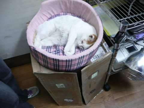 20090201120230_1.jpg 20090201120230_1.jpg