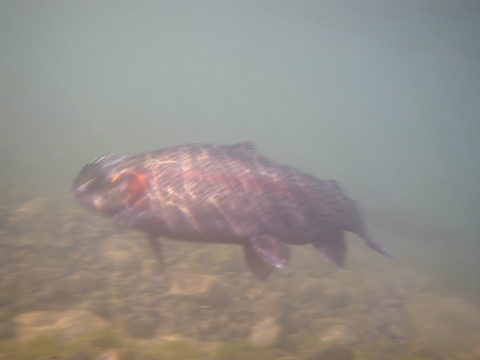 20090203100207_1.jpg 20090203100207_1.jpg