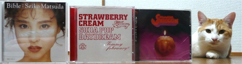 20090311090321_1.jpg 20090311090321_1.jpg